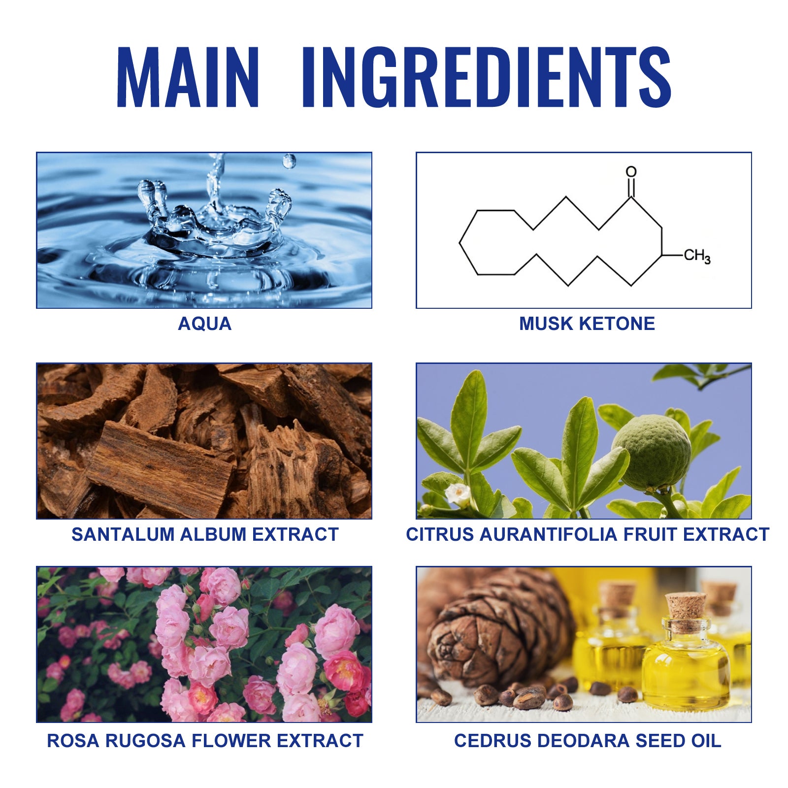 Charm Perfume – Fresh Aura for Men
Charm Perfume – Soft Whisper Scent
Charm Perfume – Everyday Elegance
Charm Perfume – Light Touch for Him
Charm Perfume – Clean Confidence
Charm Perfume – Subtle Attraction
Charm Perfume – Ocean Mist for Men
Charm Perfume – Natural Essence
Charm Perfume – Morning Breeze
Charm Perfume – Gentle Charm